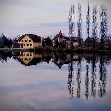 Guest House Vila Alexandar Palić Dış mekan fotoğraf