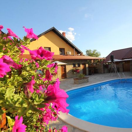 Guest House Vila Alexandar Palić Dış mekan fotoğraf