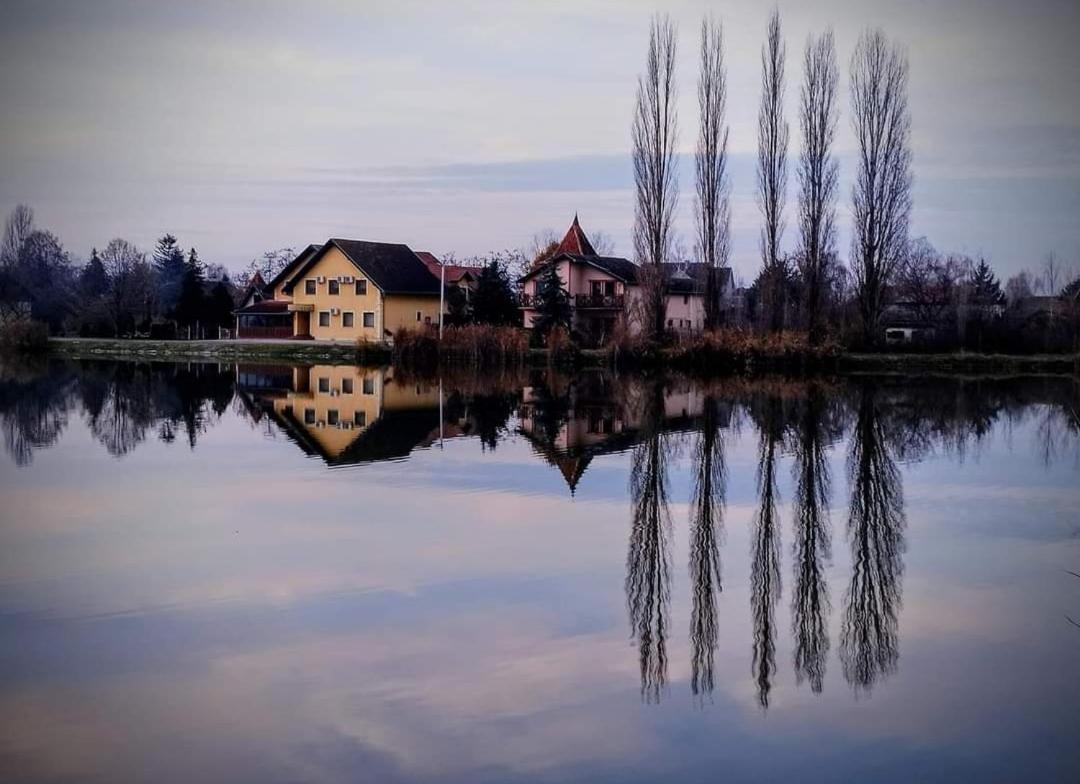 Guest House Vila Alexandar Palić Dış mekan fotoğraf
