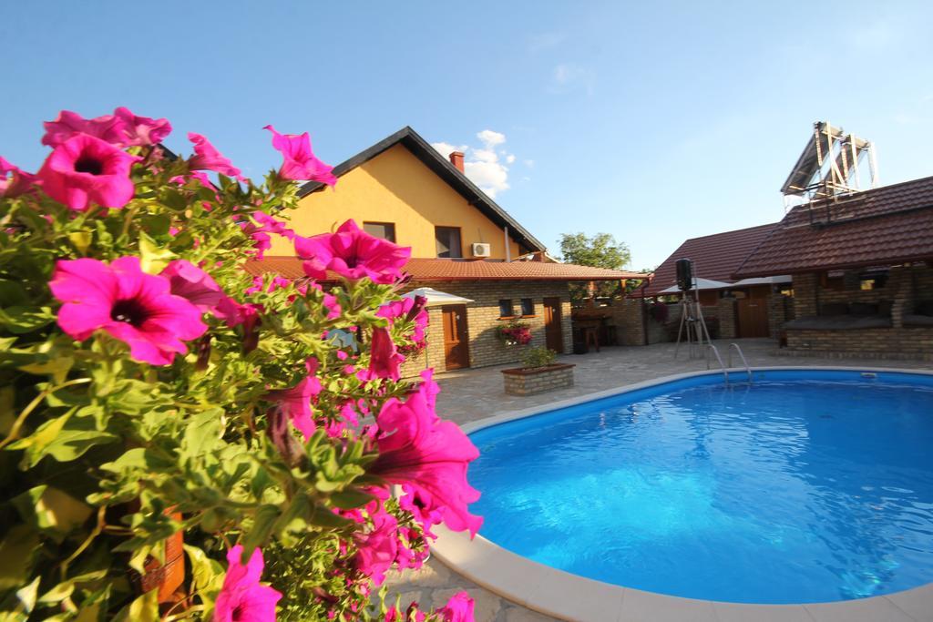 Guest House Vila Alexandar Palić Dış mekan fotoğraf